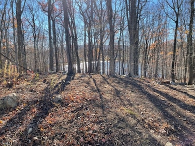 17 Rosemont Rd, Oak Ridge, NJ 07438 - photo 3