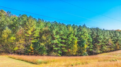 4.9 Acres Juniper Ct, Spring City, TN 37381 - photo 5