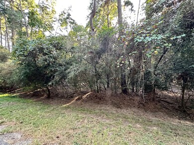 0 Mcdaniel, Magnolia, TX 77354 - photo 6