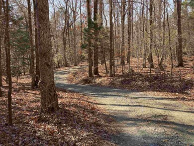 375 Riverwalk Trail, Pittsboro, NC 27312 - photo 3