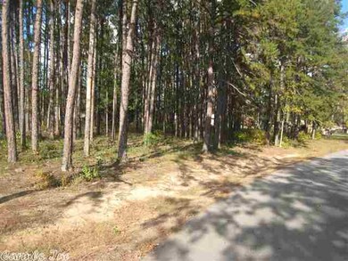 Lot 7 Blackberry Ln, Heber Springs, AR 72543 - photo 5