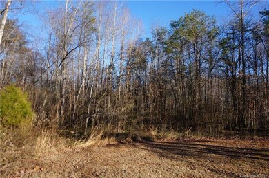 0 Wilkesboro Hwy, Statesville, NC 28625 - photo 6