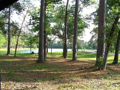 another  view of the park and lake