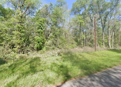 0 Berry Ln unit Conroe TX 77302, Conroe, TX 77302 - photo 7