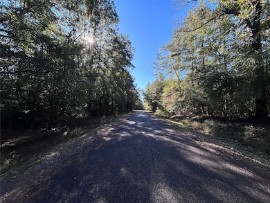 lot 16 Hackberry Dr, Wildwood, TX 77625 - photo 5
