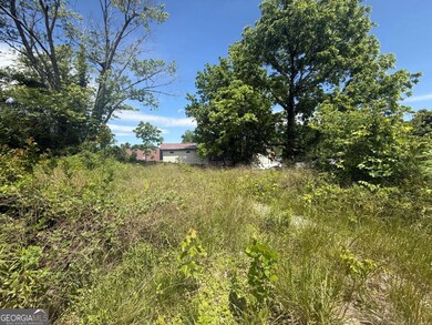 LT 19 E 2nd St, Blue Ridge, GA 30513 - photo 4