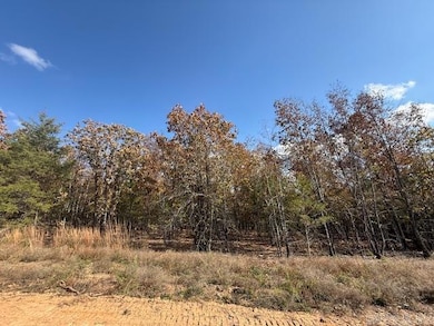 25 Summer Tyme Dr, Greenbrier, AR 72058 - photo 2