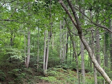 1054 Mount Sinai Rd, Lula, GA 30554 - photo 3