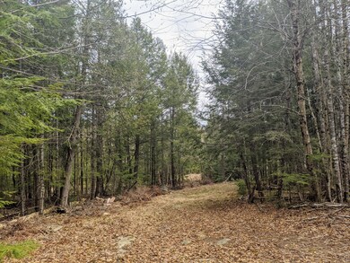 0 State Park Rd unit 1490059, Dover-Foxcroft, ME 04426 - photo 7