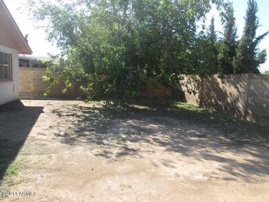 023-282501 - Backyard 2