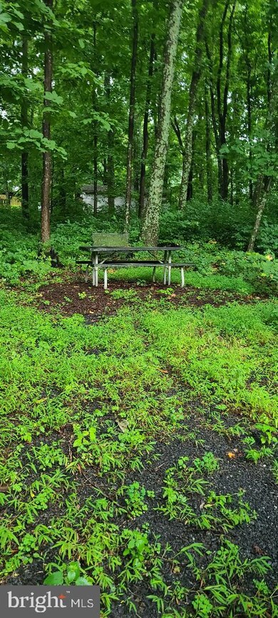 0 Inca Rd unit VAWR2000640, Linden, VA 22642 - photo 2