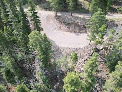 Lot 28 Clear Nite Rd, Cloudcroft, NM 88317 - photo 4