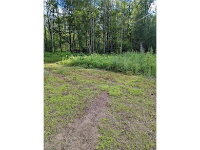 22803 Paulich Rd, Lewis, WI 54837 - photo 2