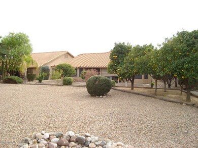 back yard 2