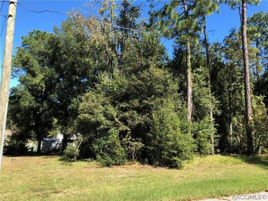 Left side of the property.