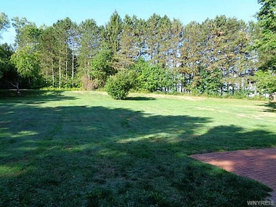 Backyard.