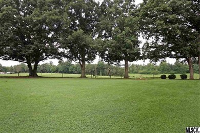 Pasture