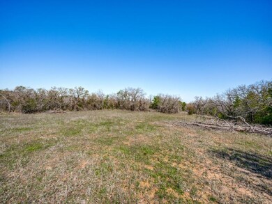 1081 County Road 3555, Paradise, TX 76073 - photo 6