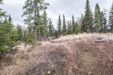 Plenty of Trees for Peace & Quiet
