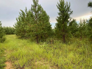 0 Highway 242 unit 24270248, Bartow, GA 30413 - photo 6