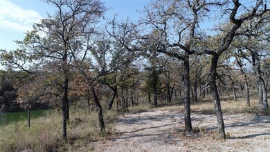 8955 Wolf Hollow, Cool, TX 76066 - photo 4
