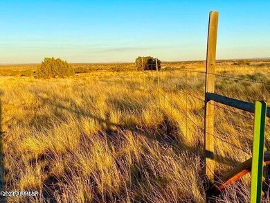 5467 Dusty Rd, Snowflake, AZ 85937 - photo 6