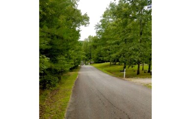 00 Oak View Trail, Cleveland, GA 30528 - photo 4