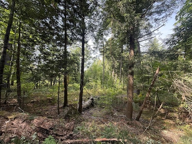 0 Oconnell Rd, Constable, NY 12926 - photo 4