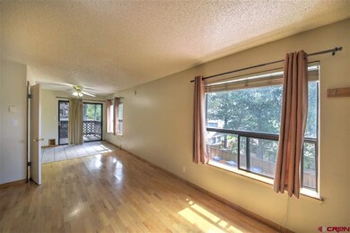3205 W 5th Ave unit 4, Durango, CO 81301 - photo 4