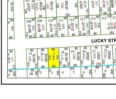 0 Lucky St E, Houston, TX 77088 - photo 6