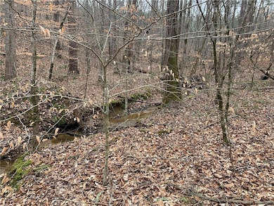 729 Marque Ln NE, Ranger, GA 30734 - photo 2