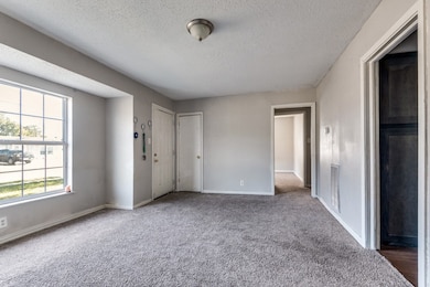 930 Shawnee Trace, Grand Prairie, TX 75051 - photo 3