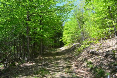 1263 E Madison Rd, Madison, NH 03849 - photo 7