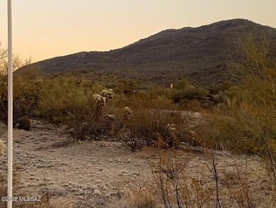 IMG_1276