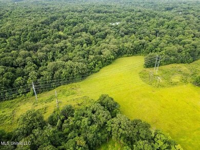 299 W Mount Pleasant Zachary Rd, Zachary, LA 70791 - photo 5