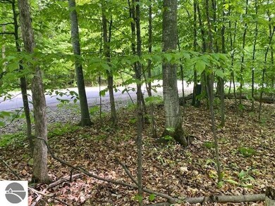 0 S Linden Ct unit 10, Cedar, MI 49621 - photo 3