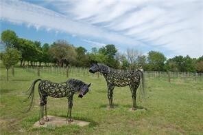 Lot #8 Summit Oaks Cir, Denison, TX 75020 - photo 5