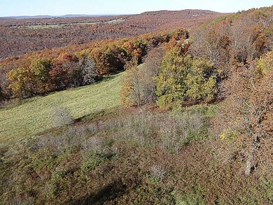 14607 Truelove Rd, West Fork, AR 72774 - photo 3