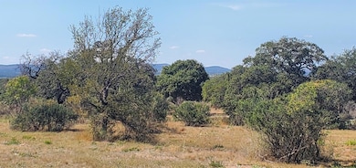 Tract 6 Lehne Loop, Buchanan Dam, TX 78609 - photo 3