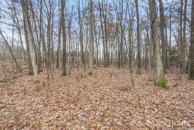 7436 Thornapple Dales Dr SE, Alto, MI 49302 - photo 4