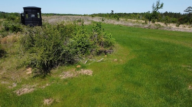 Hwy Alabama 265, Camden, AL 36726 - photo 6