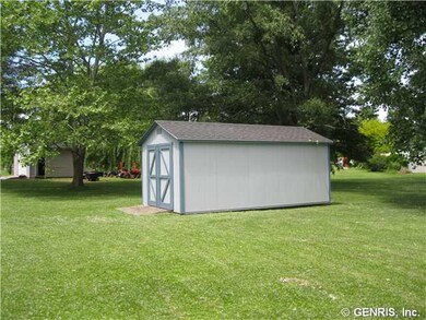 Shed. Nice size shed with storage.