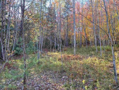 00 Kew Vasseur Rd unit 1, Fayston, VT 05673 - photo 7