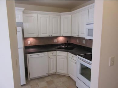 41 Hildred Dr, Burlington, VT 05401 - photo 4