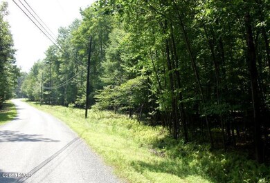 843 Tink Wig Dr, Lackawaxen Township, PA 18428 - photo 4