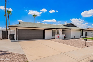 4 - Saguaro