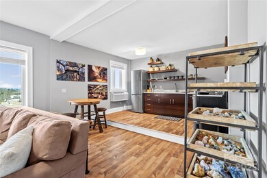 538 N Main St unit 519, 518, 520, Hendersonville, NC 28792 - photo 6