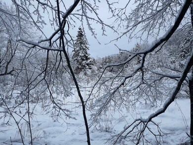 1304 Vermont Route 100 unit Lot 4 - riverfront, Readsboro, VT 05350 - photo 3