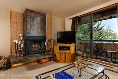 1028 E Hopkins Ave unit 24, Aspen, CO 81611 - photo 3