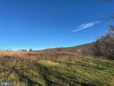 Lot 2 Garretts Mill Rd, Garretts Mill, MD 21758 - photo 3